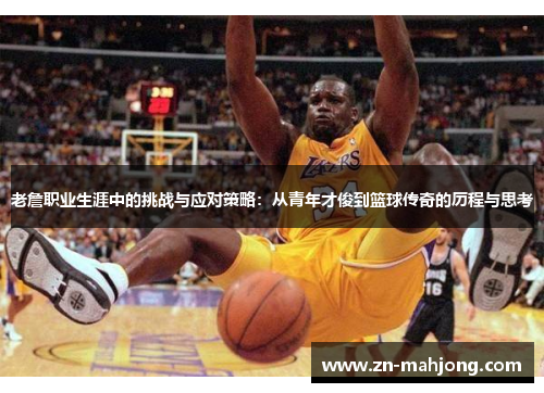 老詹职业生涯中的挑战与应对策略：从青年才俊到篮球传奇的历程与思考