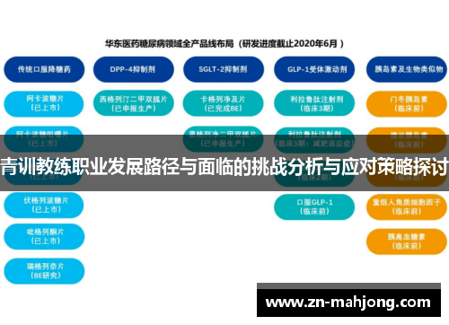 青训教练职业发展路径与面临的挑战分析与应对策略探讨 青训教练职业发展路径与面临的挑战分析与应对策略探讨